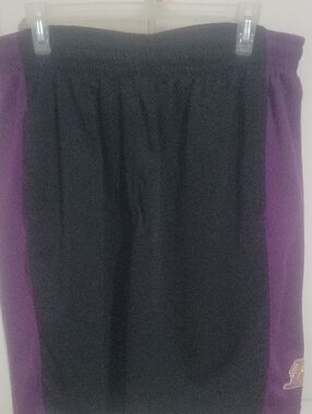 Black and Purple Athletic Skirt with Team Patch